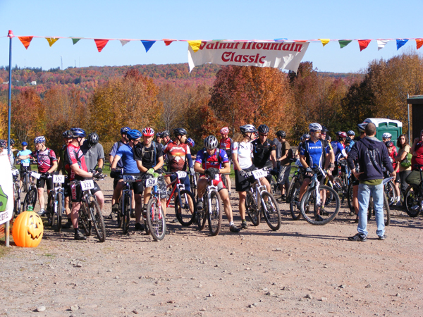 2008_1013walnut20056