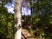 2008_1013walnut20097