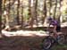 2008_1013walnut20140