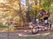 2008_1013walnut20180