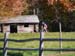 2008_1013walnut20203