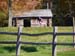 2008_1013walnut20204