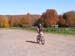 2008_1013walnut20205