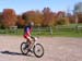 2008_1013walnut20206