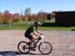 2008_1013walnut20207