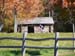 2008_1013walnut20209