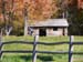 2008_1013walnut20210