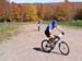 2008_1013walnut20211