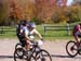 2008_1013walnut20214