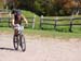 2008_1013walnut20217