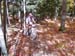 2008_1013walnut20227