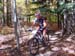 2008_1013walnut20230