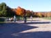 2008_1013walnut20231