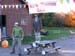 2008_1013walnut20253