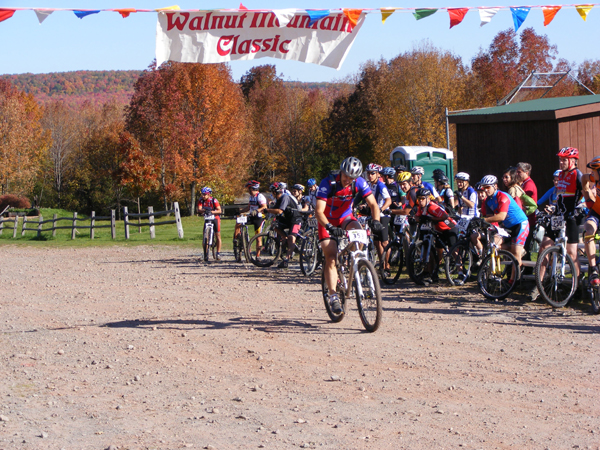 2008_1013walnut20064