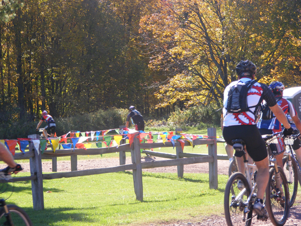 2008_1013walnut20071