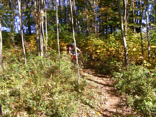 2008_1013walnut20075
