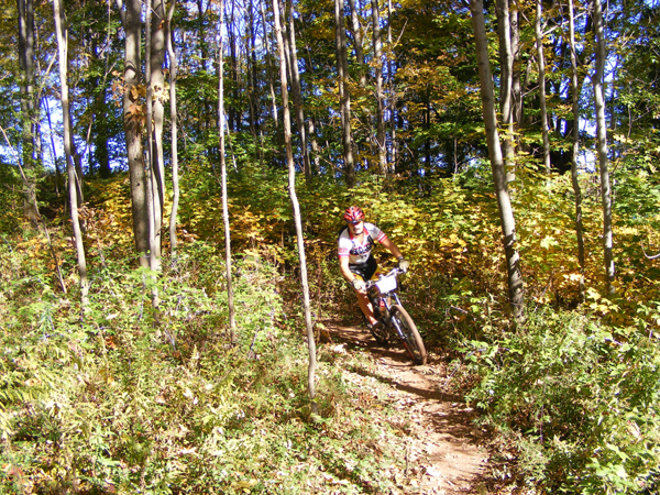 2008_1013walnut20077