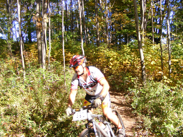 2008_1013walnut20078