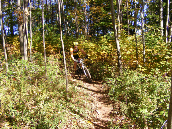 2008_1013walnut20079