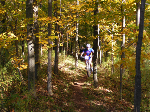 2008_1013walnut20081