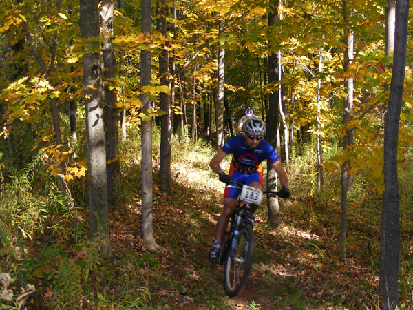 2008_1013walnut20082