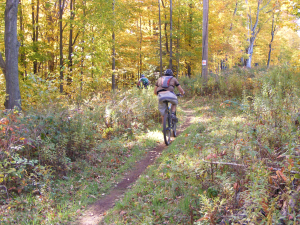 2008_1013walnut20083