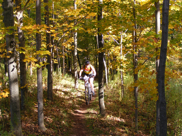 2008_1013walnut20085