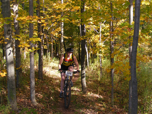 2008_1013walnut20086