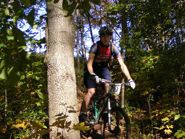 2008_1013walnut20089