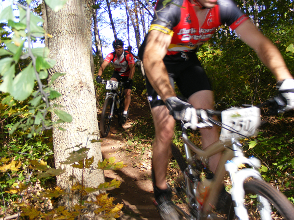 2008_1013walnut20092