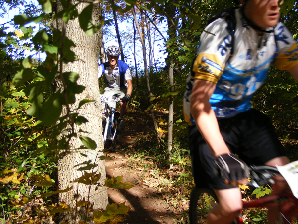 2008_1013walnut20093