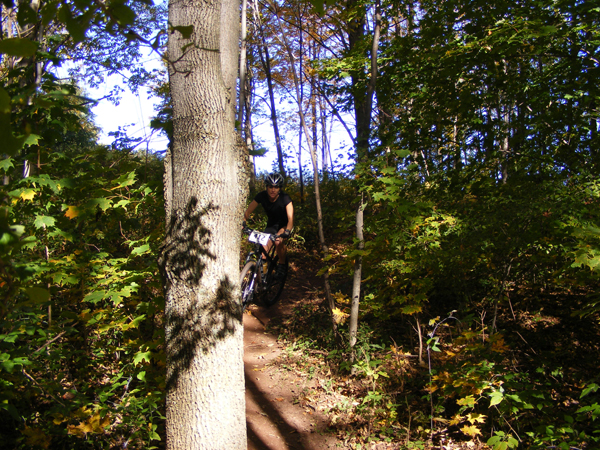 2008_1013walnut20097