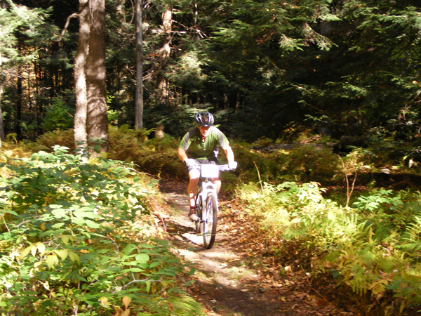 2008_1013walnut20106