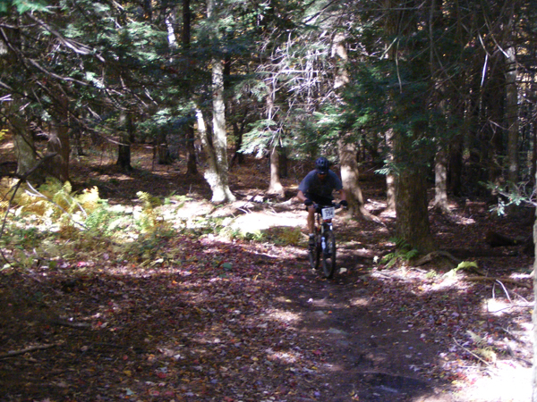 2008_1013walnut20107