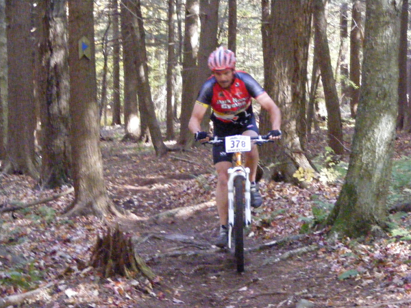 2008_1013walnut20111