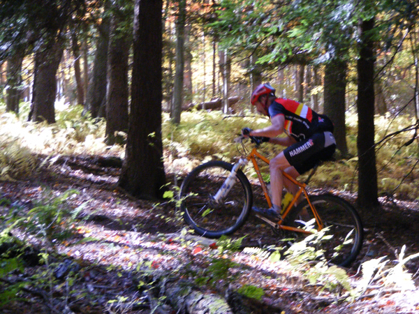 2008_1013walnut20113