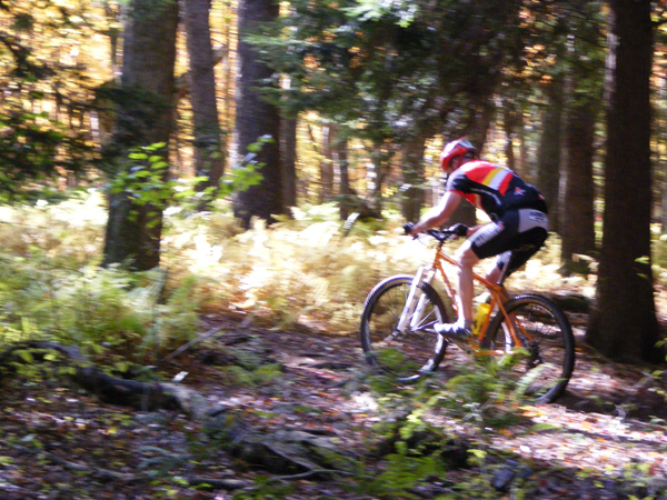 2008_1013walnut20114