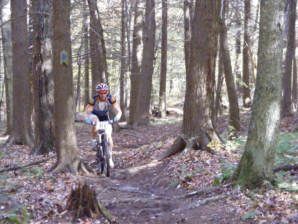 2008_1013walnut20115