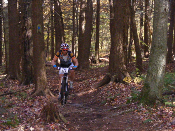 2008_1013walnut20116