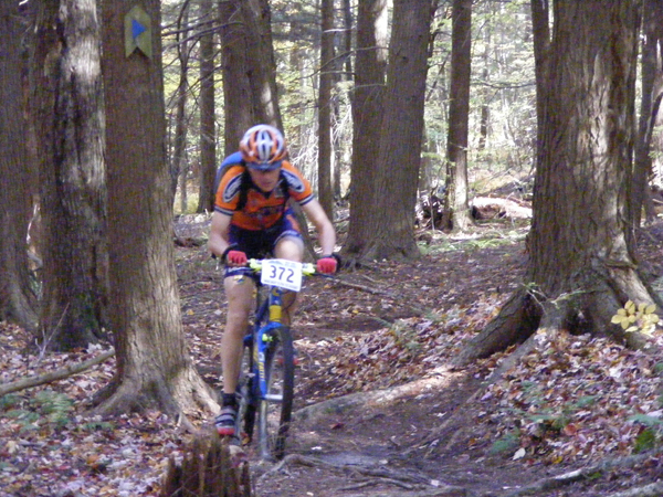 2008_1013walnut20117