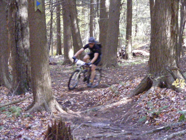 2008_1013walnut20119