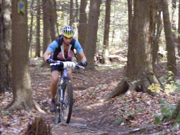 2008_1013walnut20123