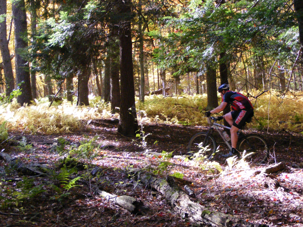 2008_1013walnut20127
