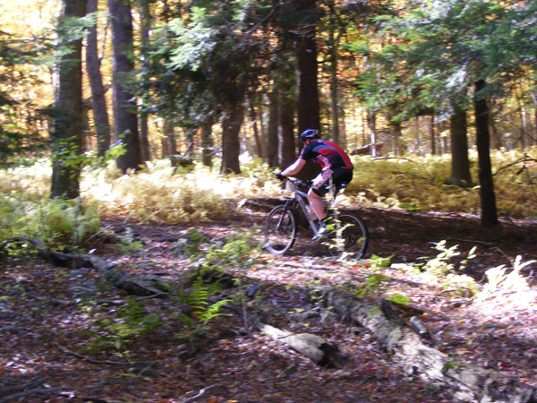 2008_1013walnut20128