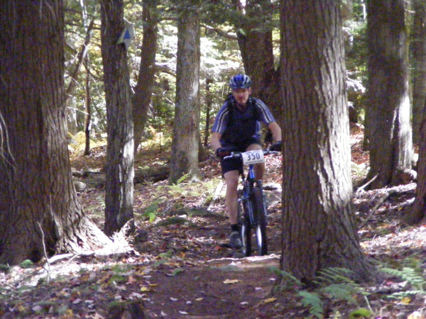2008_1013walnut20133