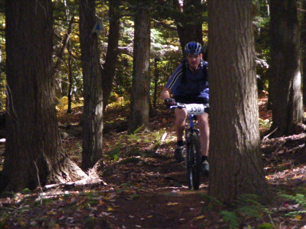 2008_1013walnut20134