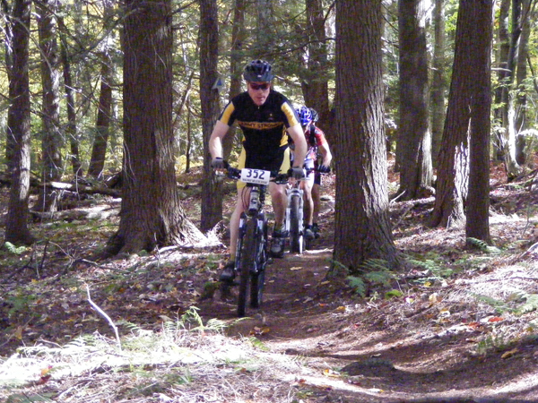 2008_1013walnut20135