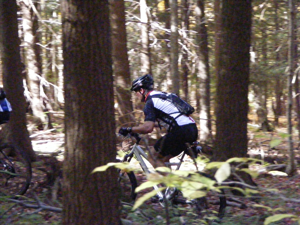 2008_1013walnut20137