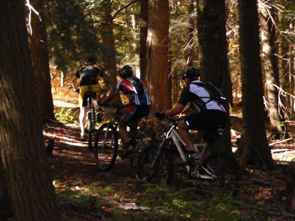 2008_1013walnut20138